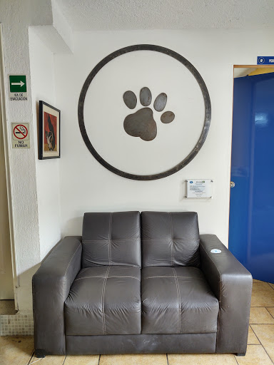 Hospital veterinario Círculo Azul