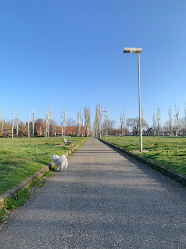 Parco Falcone Borsellino - Thumbnail