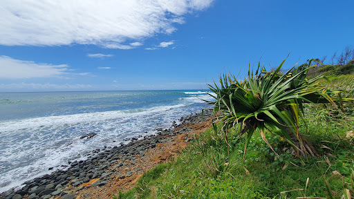 Headland Walking Track - Thumbnail