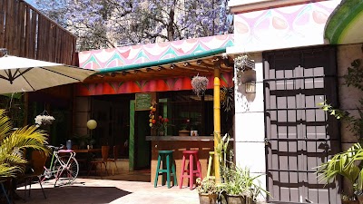 Photos of Pitaya Juice Bar