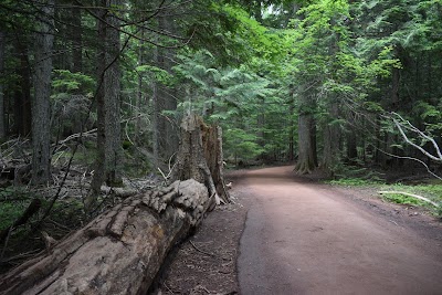 Trail of the Cedars Nature Trail