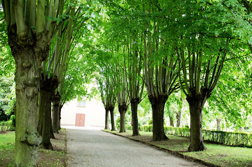 Friedhof Weida - Thumbnail