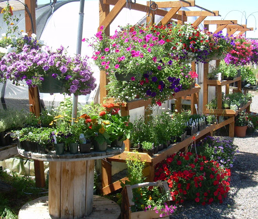 Whistle Stop Farm & Flowers - Thumbnail