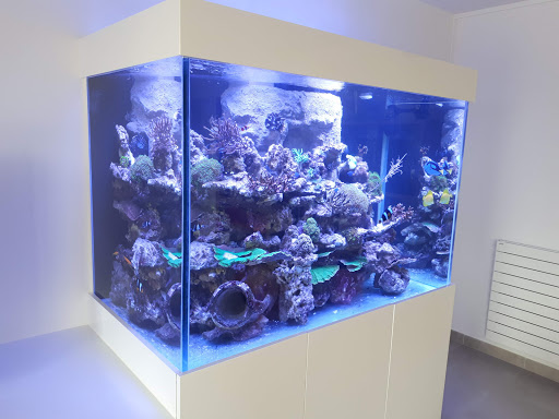 Photo de EAS Paysages Aquatiques à Cusy (74540)