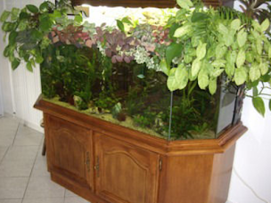 Photo n°4 de Decor Services à Breteuil (Animalerie)