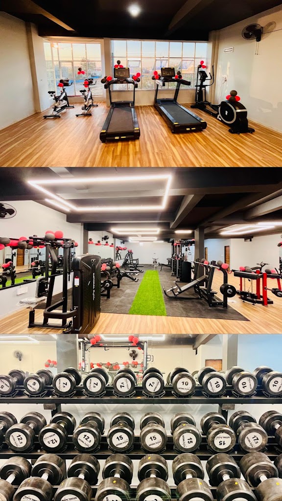 Elite Fitness Gym