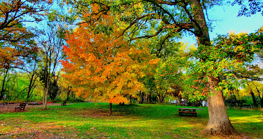Kuechmann Arboretum - Thumbnail