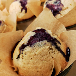 Photo n°15 de Picorette - Cantine végétarienne à Gap (Restaurant)