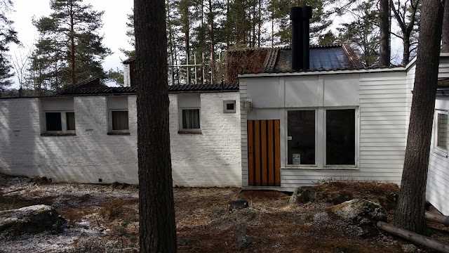 Alvar Aalto Experimental
