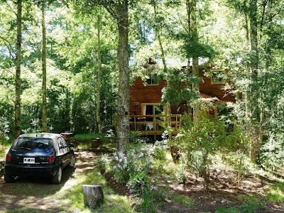 Photos of Lodge & Tenis Pucon