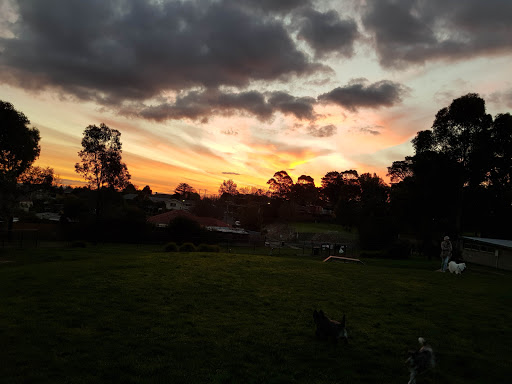 Aranga Reserve Fenced Dog Park - Thumbnail