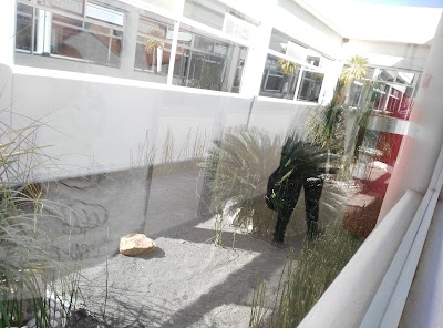 Photos of Universidad Polit&eacute;cnica de Juventino Rosas