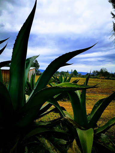Rancho Gutierrez-Soto - Thumbnail