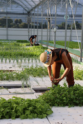 Photo n°9 de La Ferme Intégrale à La Baume-d'Hostun (Attraction touristique)