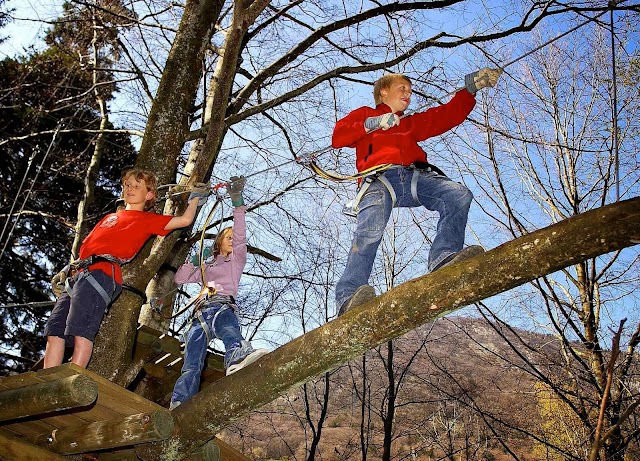 Parc Aventure - Aigle