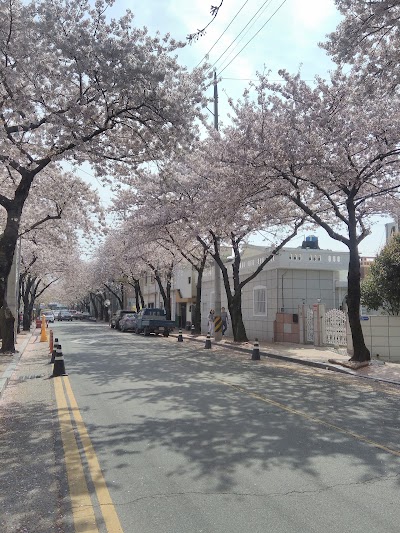 Photos of Jinhae NFRDI Environment Eco-Park