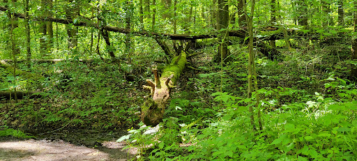 Smokey mountains state park Gallery - United States
