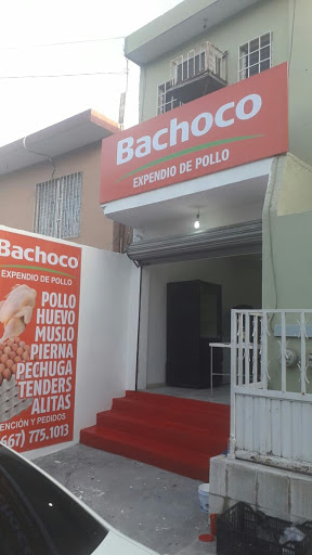 Bachoco Hidalgo