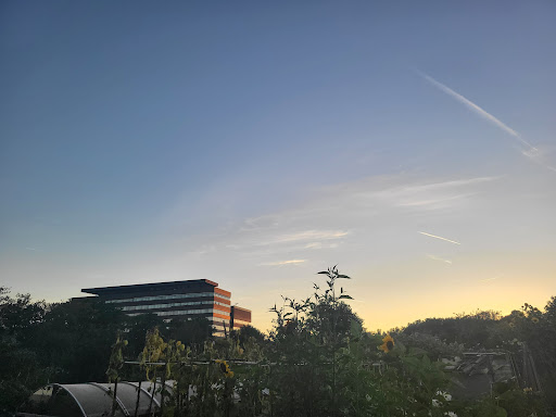 De uithovenier - Visual