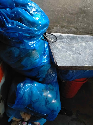 Gallery image 185