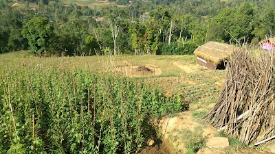 Photos of Wegama Raja Maha Viharaya
