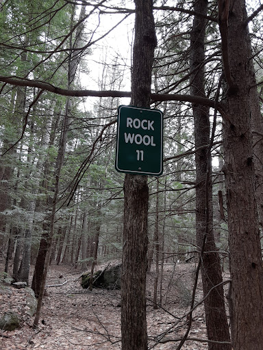 Ramblin' Vewe Farm Trail Parking Lot - Thumbnail