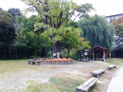 Photos of Kamesei Ryokan Nagano