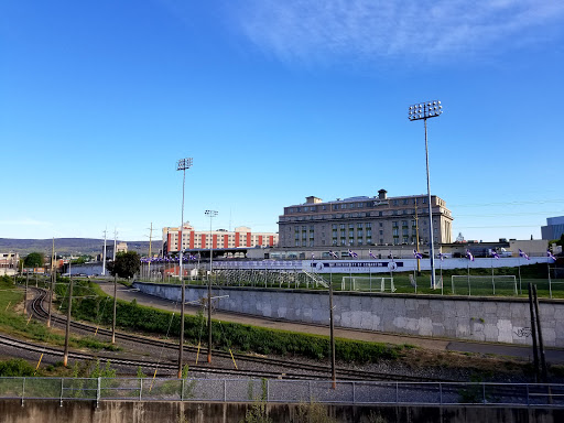 Fitzpatrick Field - Thumbnail
