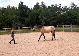 Photo n°7 de Charlotte Pantos - Ferme équestre éthologique & pédagogique à Bessenay (Centre de randonnée équestre)