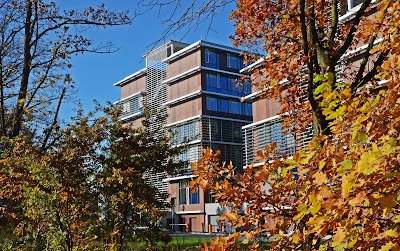 university