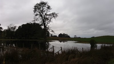 Photos of El Torito
