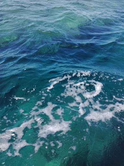 Photos of Tavua Bay