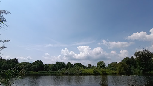 Brook Wildlife Area - Thumbnail