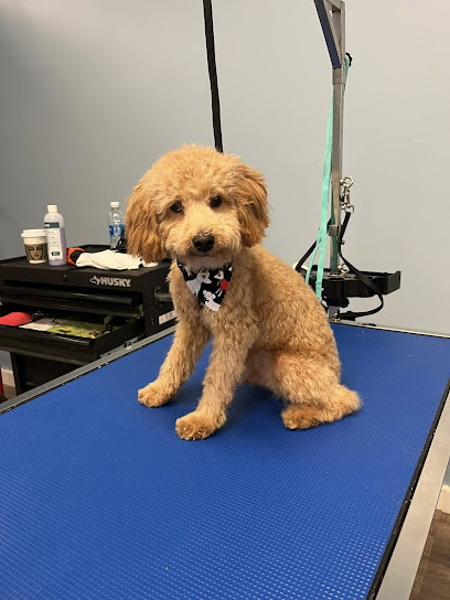 Wakefield Pet Spa