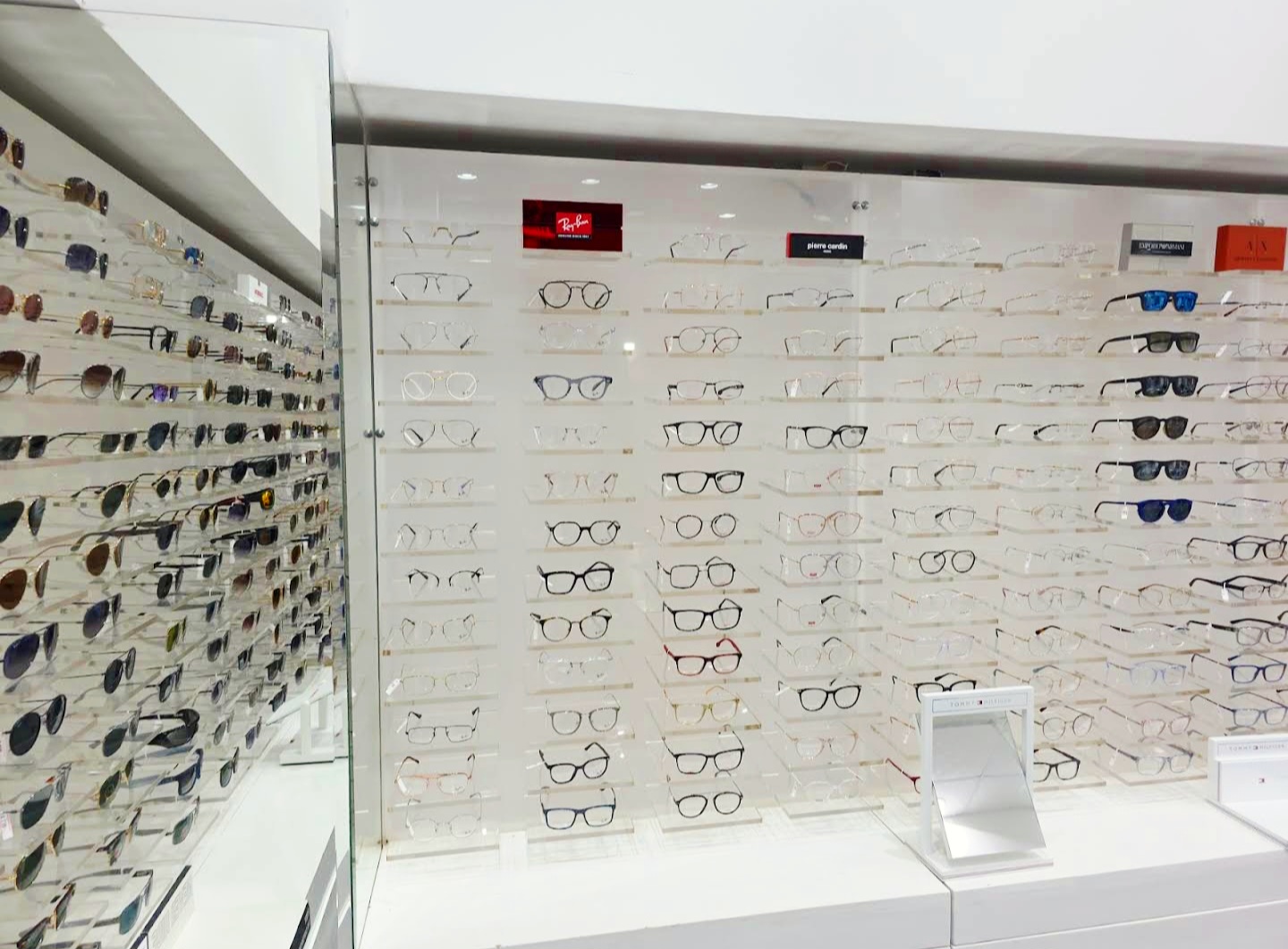 جار الحياة للبصريات - صورة 2