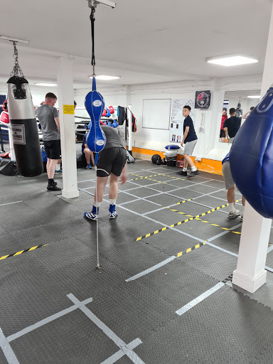 Luton Town Boxing Club - Thumbnail