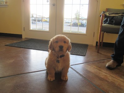 Hurricane Ridge Veterinary Hospital