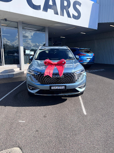 Brian Hilton GWM HAVAL