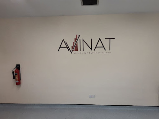 AVINAT - Visual