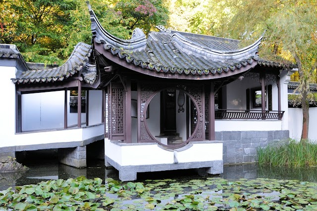 Place around image