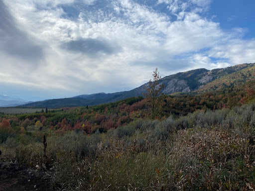 North Fork Park - Visual