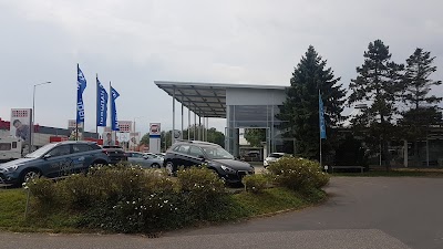 car-dealer