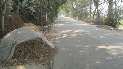 Photos of Baradia Uthali Manikganj