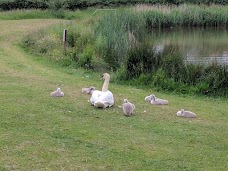 Village Quarter Ecology Park bristol