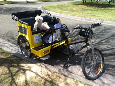 Nonpartisan Pedicab