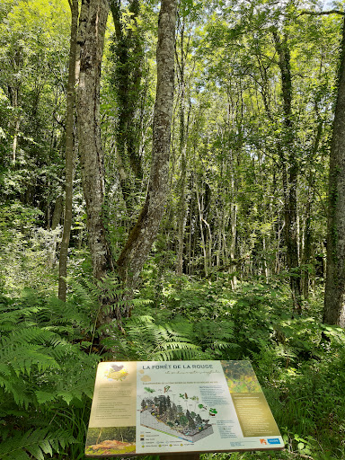 Sentier de La Rouge (Accès Est) - Thumbnail