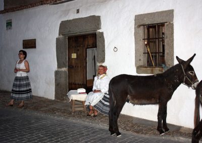 Museo Casa Labriega de la Serena - Thumbnail