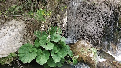 Photos of Tomorri Mountain National Park