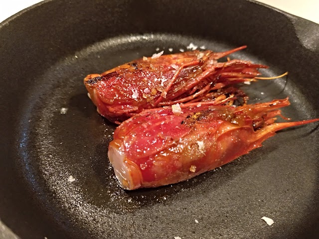 Astrolabius