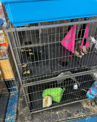Pet Supplies Plus Upper Arlington - Thumbnail